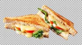 SANDWICHES