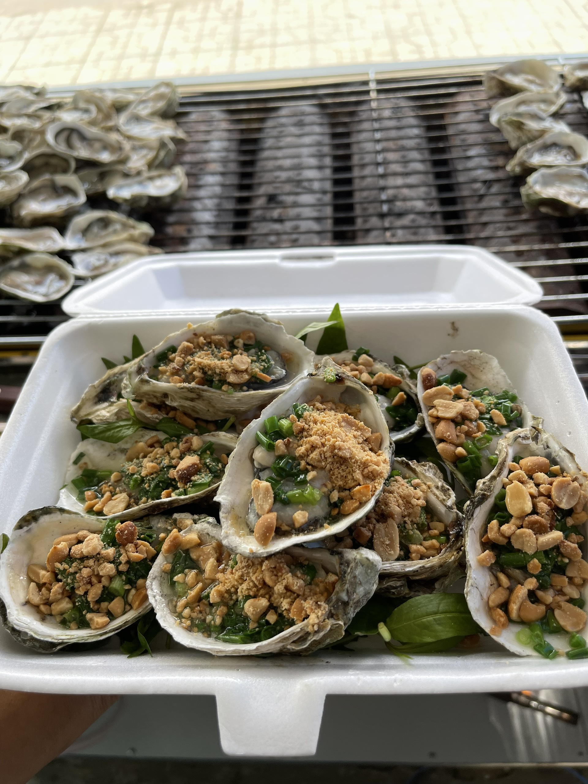 Hàu