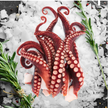 SEAFOOD 海洋鲜味