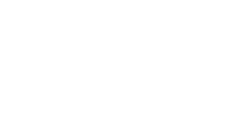 Braceria Degusteria “Di…Vino” logo