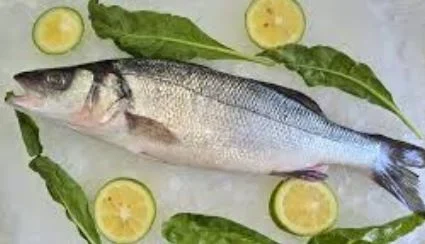 Balık