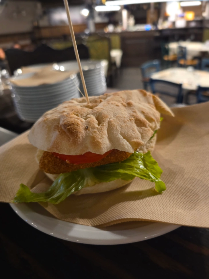 PANINI e PIADINE