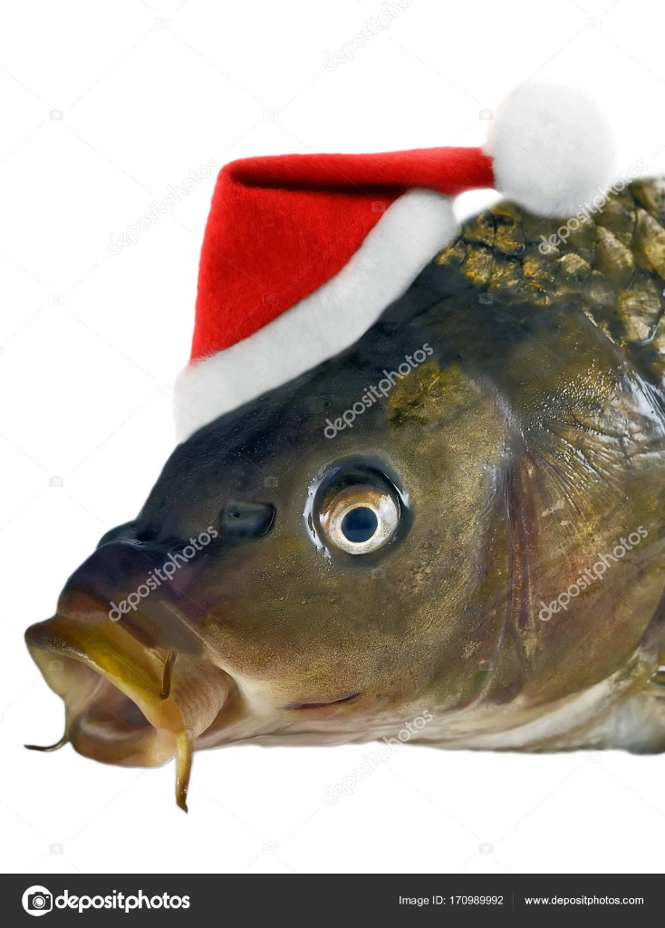 shwarma kiosk logo